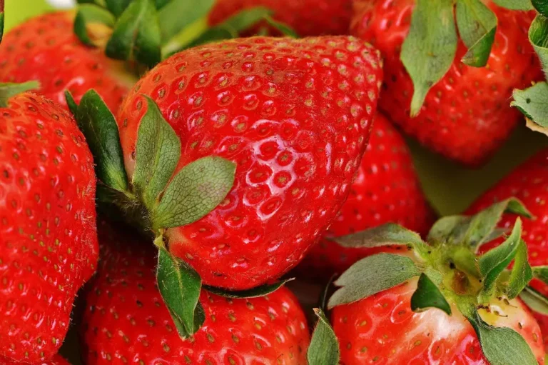 C’est la saison des fraises !